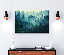 Obraz na stenu Čaro lesa, les forest stromy trees hmla